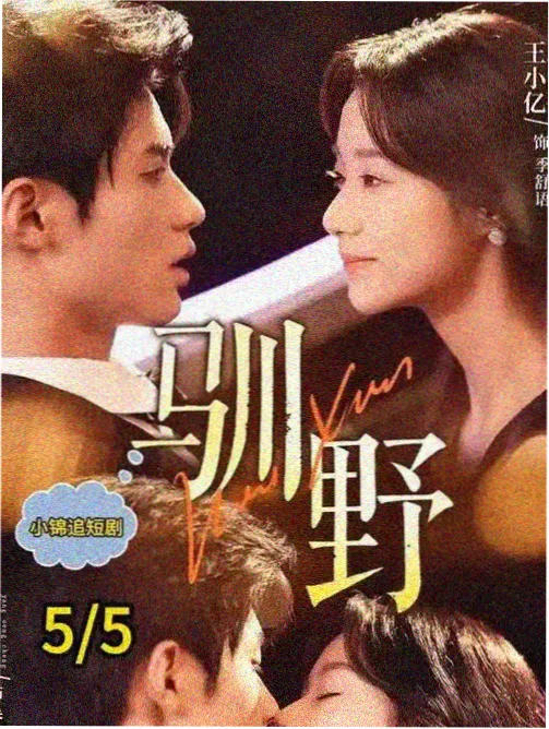 猎风者 谍战年代剧高清在线观看
